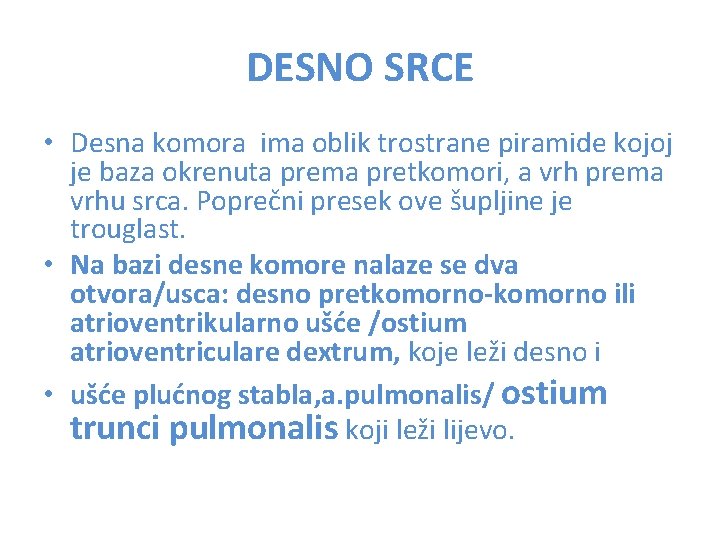 DESNO SRCE • Desna komora ima oblik trostrane piramide kojoj je baza okrenuta prema