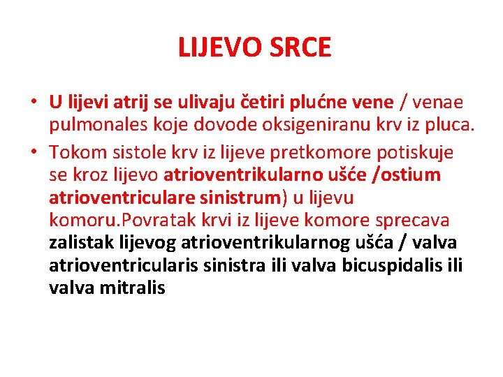 LIJEVO SRCE • U lijevi atrij se ulivaju četiri plućne vene / venae pulmonales