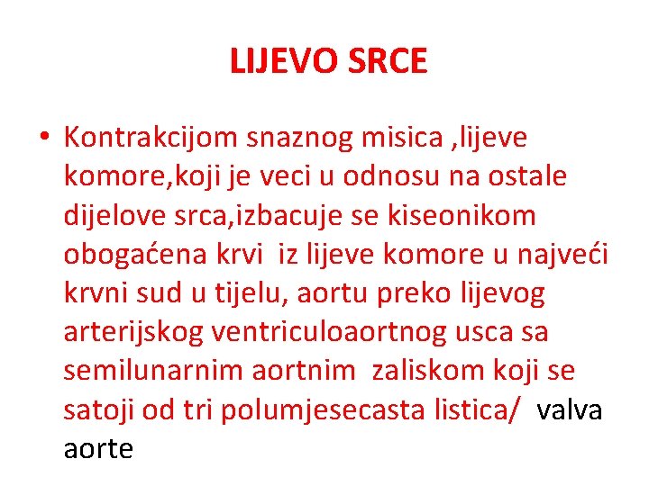 LIJEVO SRCE • Kontrakcijom snaznog misica , lijeve komore, koji je veci u odnosu