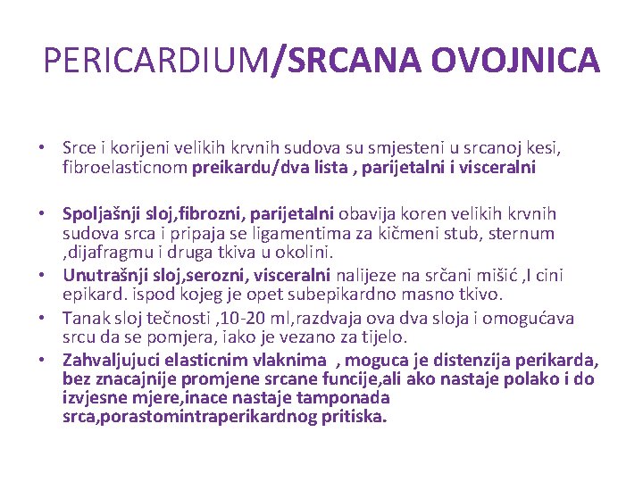 PERICARDIUM/SRCANA OVOJNICA • Srce i korijeni velikih krvnih sudova su smjesteni u srcanoj kesi,