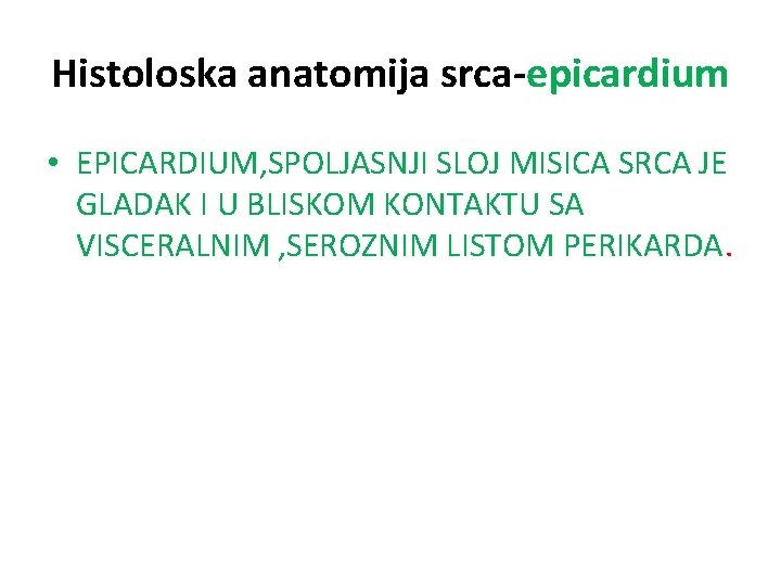 Histoloska anatomija srca-epicardium • EPICARDIUM, SPOLJASNJI SLOJ MISICA SRCA JE GLADAK I U BLISKOM