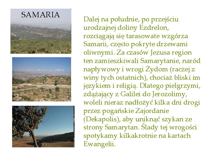 SAMARIA Dalej na południe, po przejściu urodzajnej doliny Ezdrelon, rozciągają się tarasowate wzgórza Samarii,