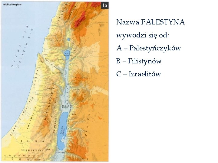 Nazwa PALESTYNA wywodzi się od: A – Palestyńczyków B – Filistynów C – Izraelitów