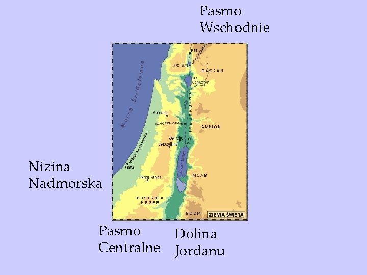 Pasmo Wschodnie Nizina Nadmorska Pasmo Centralne Dolina Jordanu 