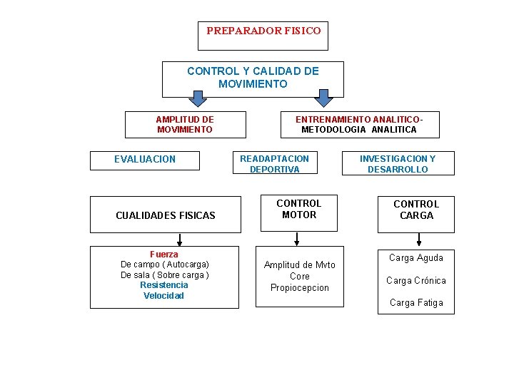 PREPARADOR FISICO CONTROL Y CALIDAD DE MOVIMIENTO AMPLITUD DE MOVIMIENTO EVALUACION CUALIDADES FISICAS Fuerza