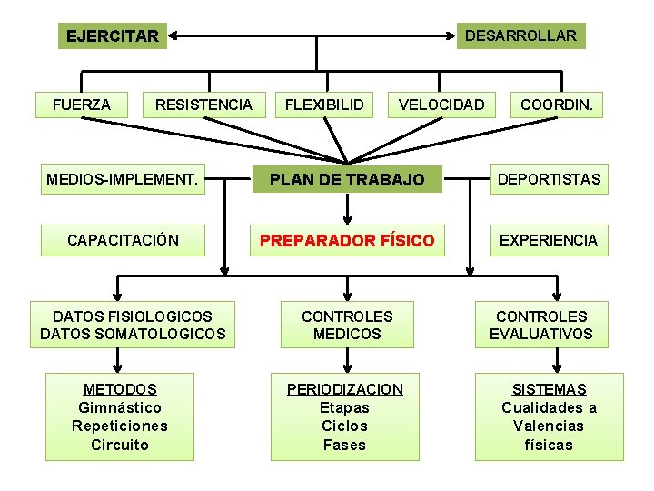 EJERCITAR FUERZA RESISTENCIA DESARROLLAR FLEXIBILID VELOCIDAD COORDIN. MEDIOS-IMPLEMENT. PLAN DE TRABAJO DEPORTISTAS CAPACITACIÓN PREPARADOR