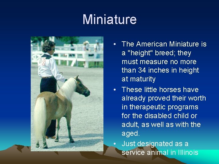 Miniature • The American Miniature is a "height" breed; they must measure no more