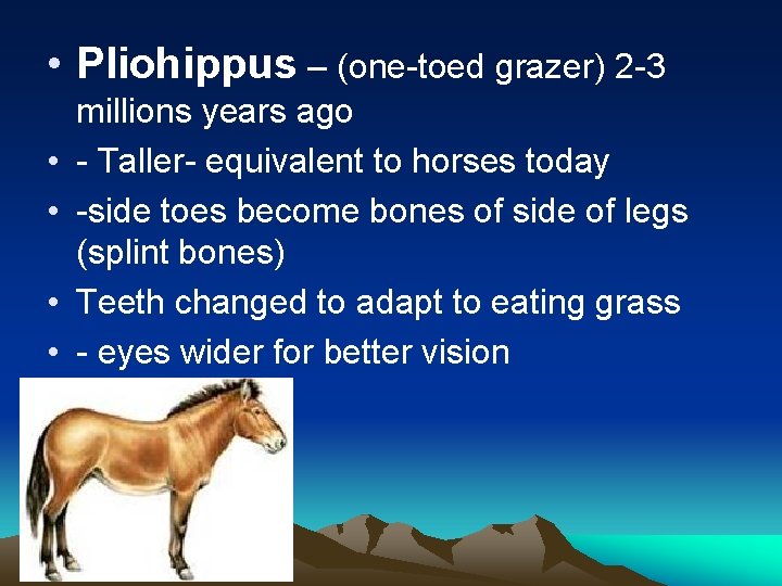  • Pliohippus – (one-toed grazer) 2 -3 • • millions years ago -