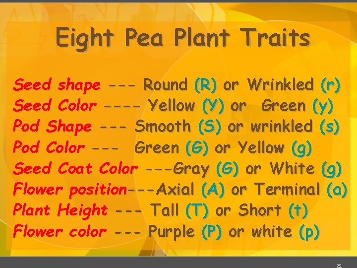Eight Pea Plant Traits Seed shape --- Round (R) or Wrinkled (r) Seed Color