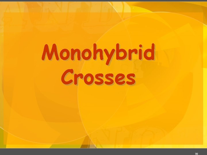 Monohybrid Crosses 30 