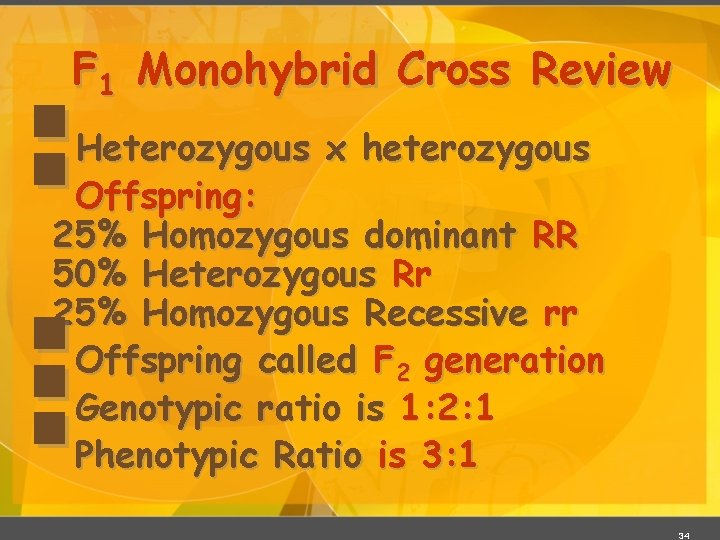 F 1 Monohybrid Cross Review §§ §§ § Heterozygous x heterozygous Offspring: 25% Homozygous