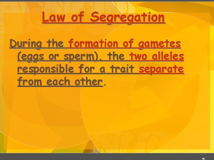 Law of Segregation During the formation of gametes (eggs or sperm), the two alleles