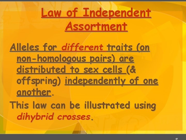 Law of Independent Assortment Alleles for different traits (on non-homologous pairs) are distributed to