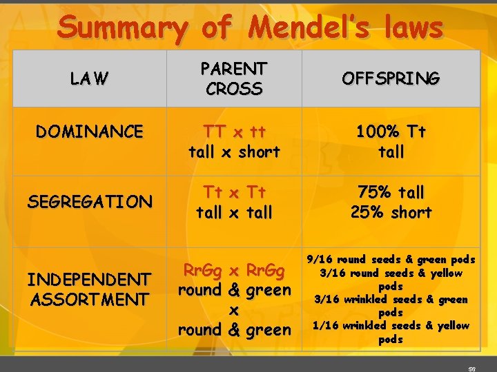 Summary of Mendel’s laws LAW DOMINANCE SEGREGATION INDEPENDENT ASSORTMENT PARENT CROSS OFFSPRING TT x