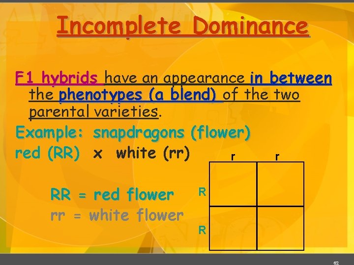 Incomplete Dominance F 1 hybrids have an appearance in between the phenotypes (a blend)