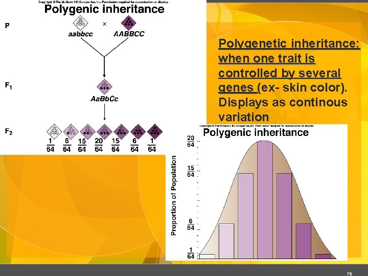 Polygenetic inheritance: when one trait is controlled by several genes (ex- skin color). Displays