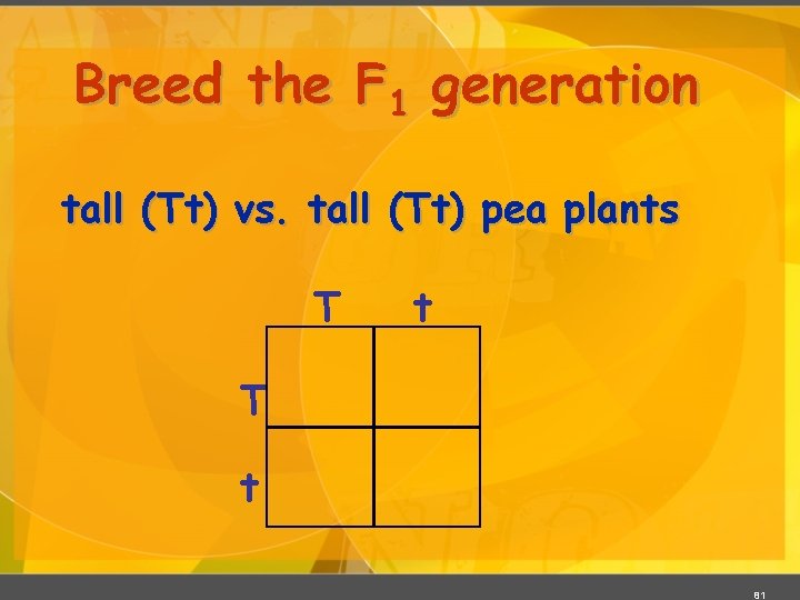 Breed the F 1 generation tall (Tt) vs. tall (Tt) pea plants T t