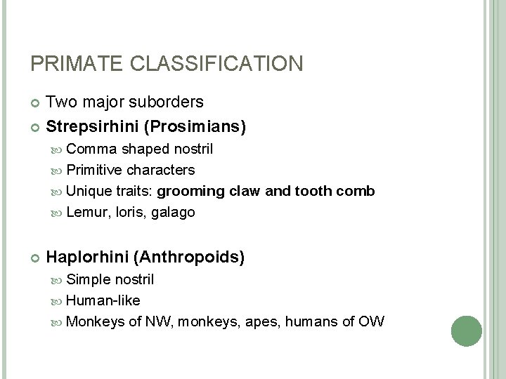 PRIMATE CLASSIFICATION Two major suborders Strepsirhini (Prosimians) Comma shaped nostril Primitive characters Unique traits: