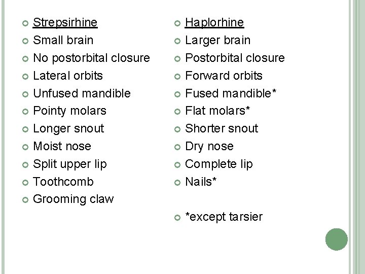 Strepsirhine Small brain No postorbital closure Lateral orbits Unfused mandible Pointy molars Longer snout