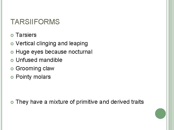TARSIIFORMS Tarsiers Vertical clinging and leaping Huge eyes because nocturnal Unfused mandible Grooming claw