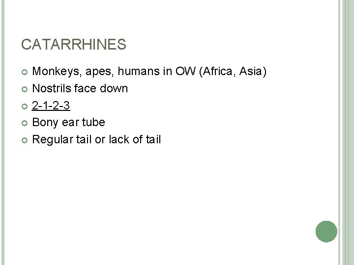 CATARRHINES Monkeys, apes, humans in OW (Africa, Asia) Nostrils face down 2 -1 -2