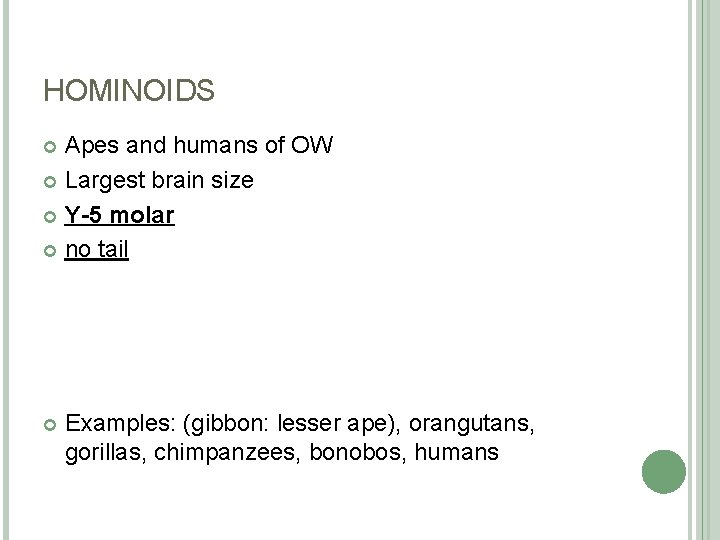 HOMINOIDS Apes and humans of OW Largest brain size Y-5 molar no tail Examples: