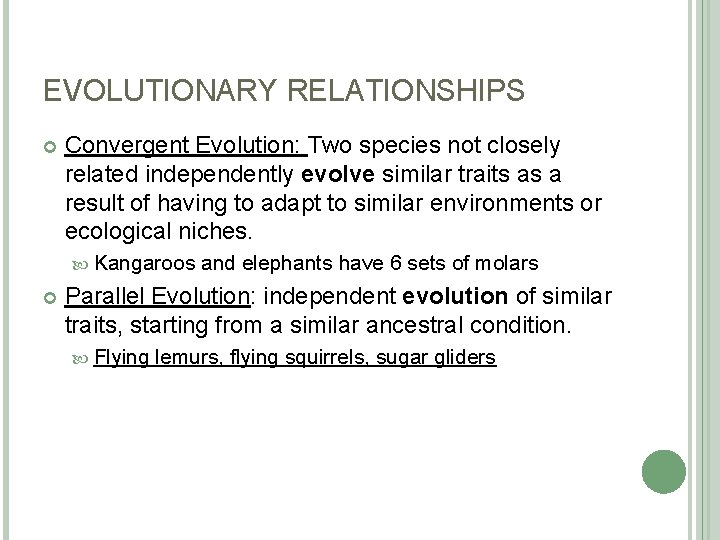 EVOLUTIONARY RELATIONSHIPS Convergent Evolution: Two species not closely related independently evolve similar traits as
