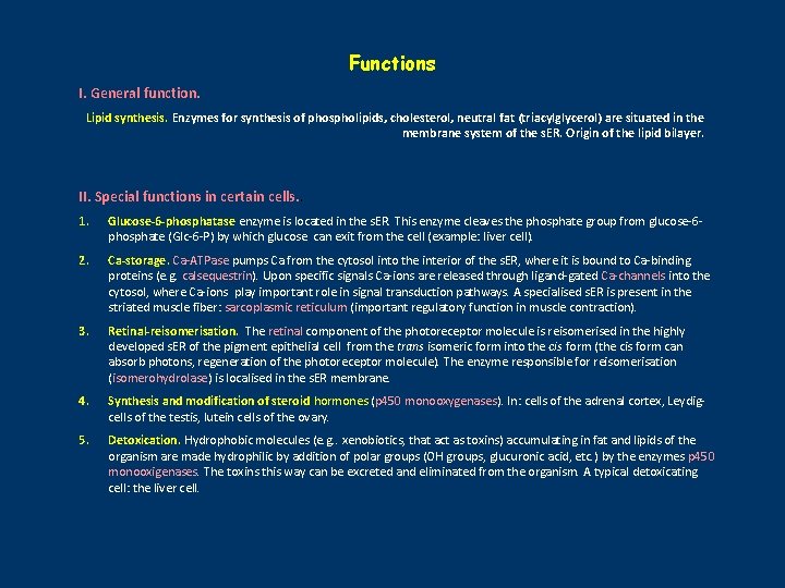 Functions I. General function. Lipid synthesis. Enzymes for synthesis of phospholipids, cholesterol, neutral fat