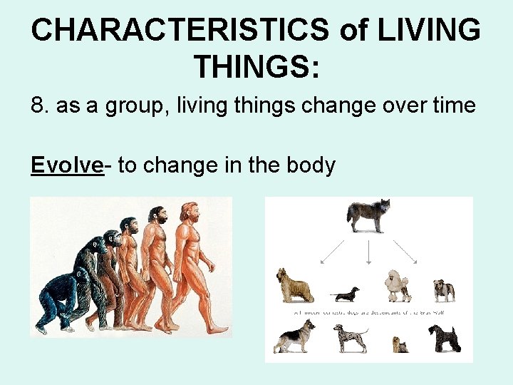 CHARACTERISTICS of LIVING THINGS: 8. as a group, living things change over time Evolve-