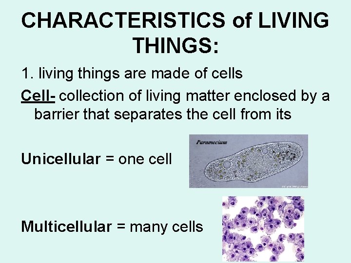 CHARACTERISTICS of LIVING THINGS: 1. living things are made of cells Cell- collection of