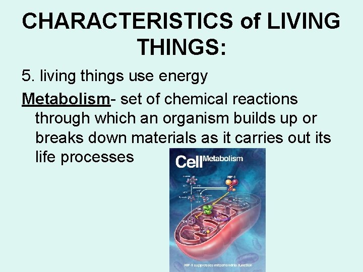 CHARACTERISTICS of LIVING THINGS: 5. living things use energy Metabolism- set of chemical reactions