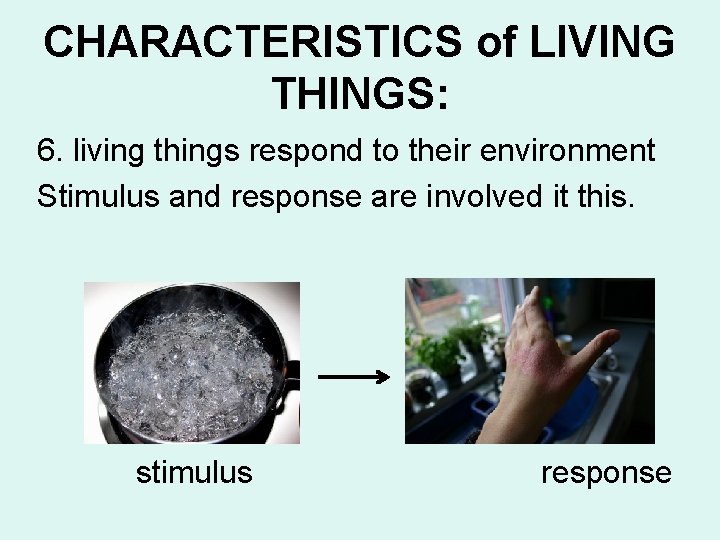 CHARACTERISTICS of LIVING THINGS: 6. living things respond to their environment Stimulus and response