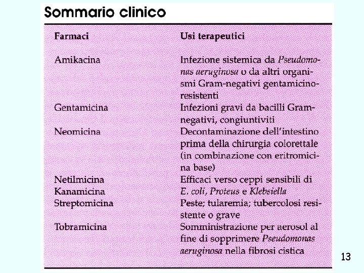 inibitori sintesi proteica Giuseppe Nocentini, Dip. di Medicina Clinica e Sperimentale, Università degli Studi