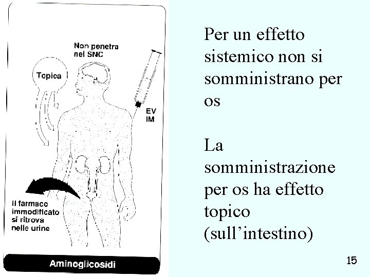 Per un effetto sistemico non si somministrano per os La somministrazione per os ha