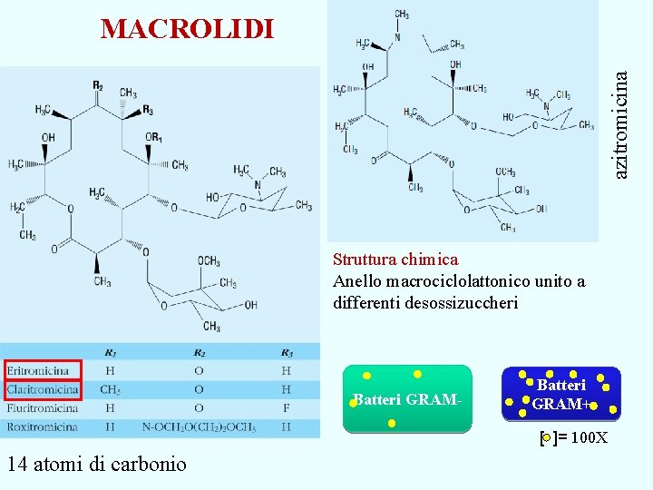 azitromicina MACROLIDI Struttura chimica Anello macrociclolattonico unito a differenti desossizuccheri Batteri GRAM- Batteri GRAM+