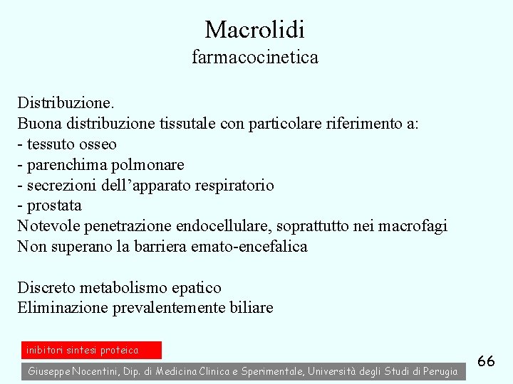 Macrolidi farmacocinetica Distribuzione. Buona distribuzione tissutale con particolare riferimento a: - tessuto osseo -