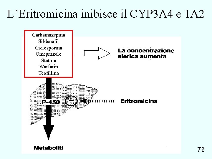 L’Eritromicina inibisce il CYP 3 A 4 e 1 A 2 Carbamazepina Sildenafil Ciclosporina