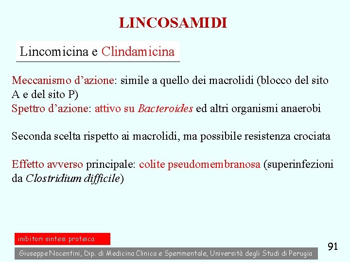 LINCOSAMIDI Lincomicina e Clindamicina Meccanismo d’azione: simile a quello dei macrolidi (blocco del sito