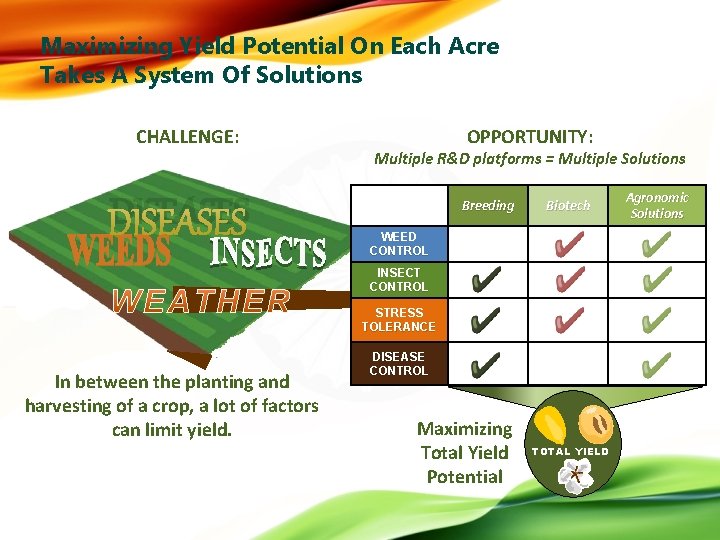 Maximizing Yield Potential On Each Acre Takes A System Of Solutions CHALLENGE: DISEASES OPPORTUNITY:
