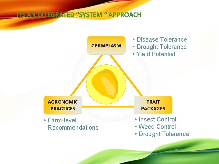 ITS AN INTEGRATED “SYSTEM “ APPROACH GERMPLASM AGRONOMIC PRACTICES • Farm-level Recommendations P 23