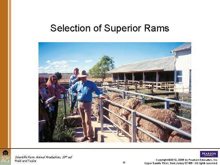 Selection of Superior Rams Scientific Farm Animal Production, 10 th ed Field and Taylor