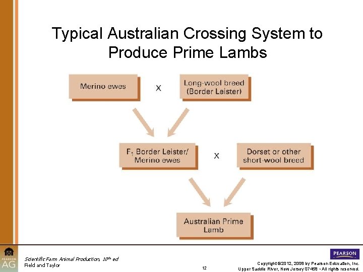 Typical Australian Crossing System to Produce Prime Lambs Scientific Farm Animal Production, 10 th