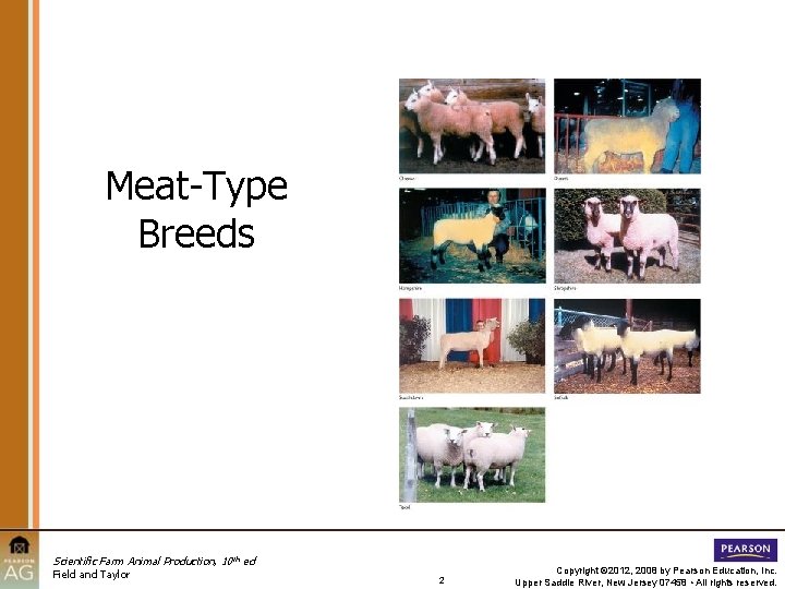 Meat-Type Breeds Scientific Farm Animal Production, 10 th ed Field and Taylor 2 Copyright
