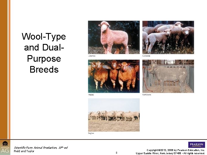 Wool-Type and Dual. Purpose Breeds Scientific Farm Animal Production, 10 th ed Field and