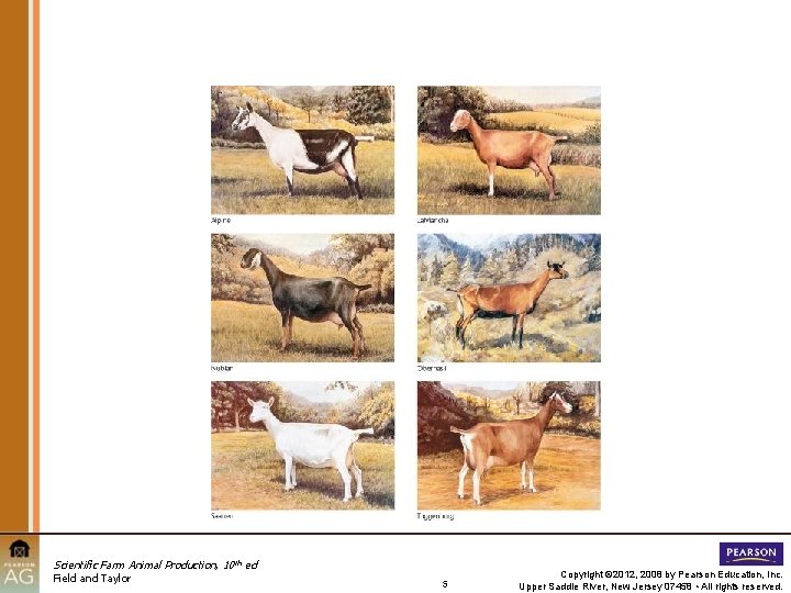 Scientific Farm Animal Production, 10 th ed Field and Taylor 5 Copyright © 2012,