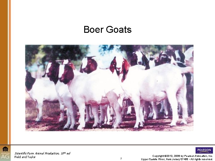 Boer Goats Scientific Farm Animal Production, 10 th ed Field and Taylor 7 Copyright