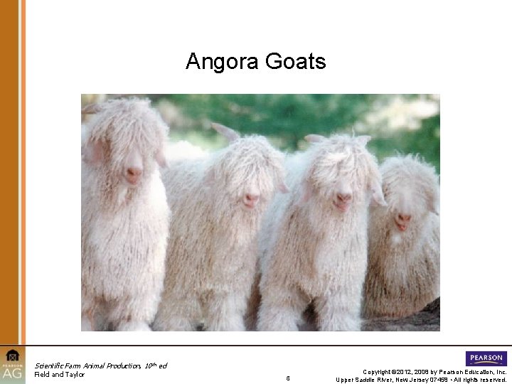 Angora Goats Scientific Farm Animal Production, 10 th ed Field and Taylor 8 Copyright