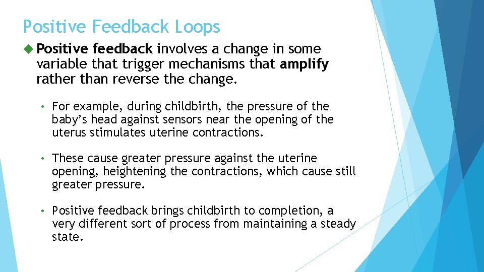 Positive Feedback Loops Positive feedback involves a change in some variable that trigger mechanisms Positive Feedback Loops Positive feedback involves a change in some variable that trigger mechanisms