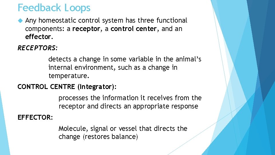 Feedback Loops Any homeostatic control system has three functional components: a receptor, a control Feedback Loops Any homeostatic control system has three functional components: a receptor, a control