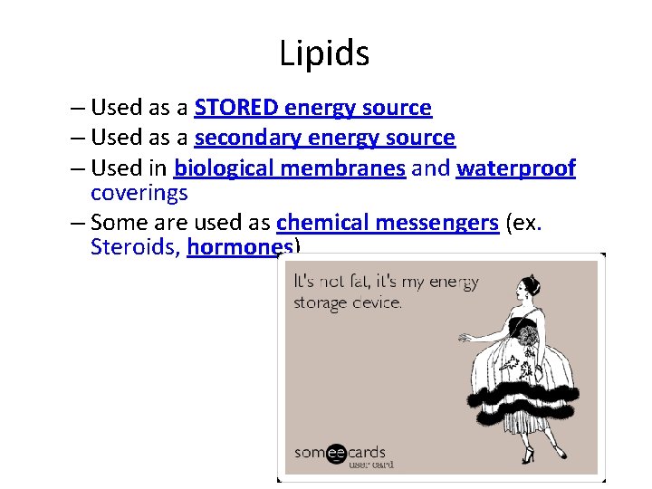 Lipids – Used as a STORED energy source – Used as a secondary energy